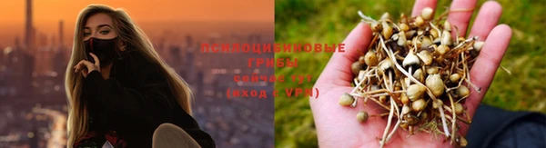 герыч Алексин